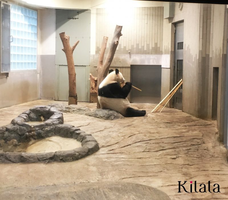 Sở thú Ueno Sở thú Ueno